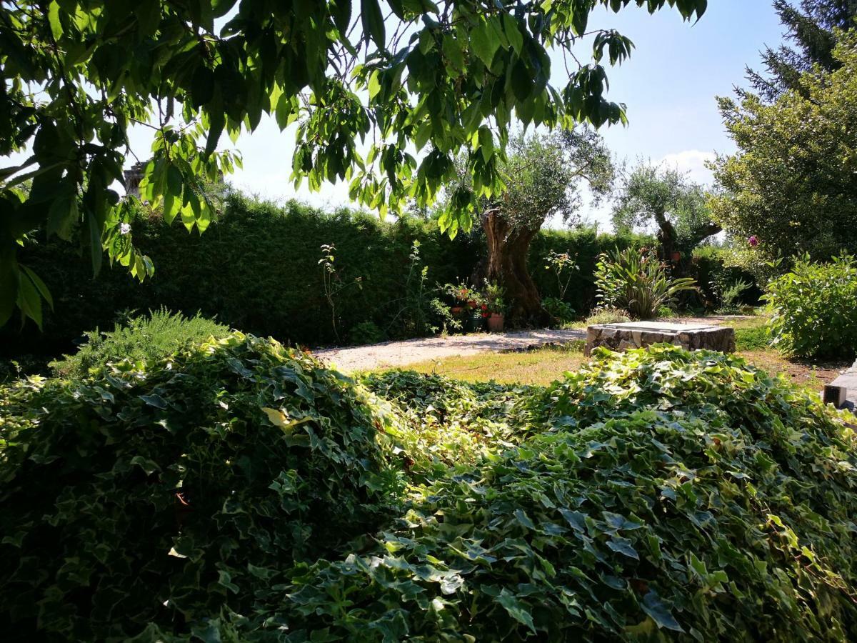 A Casa Da Fonte Villa Alviobeira Екстериор снимка